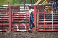 Bull Riding