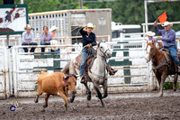 Team Roping Header