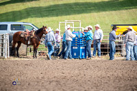 Team Ribbon Roping