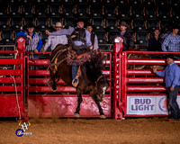 Saddle Bronc