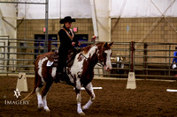 Horse Shows