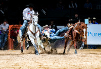 Steer Wrestling