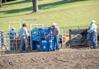 Team Ribbon Roping