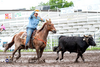 Team Roping Header