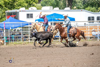 Team Roping Heeler