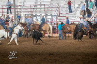 Team Roping