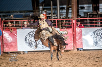 Saddle Bronc