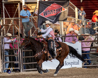 Saddle Bronc