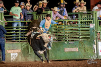 Bull Riding