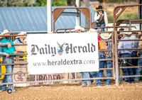 Steer Wrestling