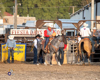 Team Roping