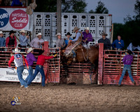 Saddle Bronc