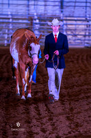 Class 677 ~ Showmanship 14-18 Yrs-Old