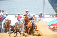 Tie Down Roping