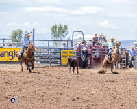 Team Roping