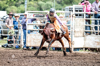 Calf Steer & Bull Riding