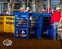 Steer Wrestling