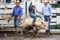 Calf Riding