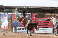 Ranch Bronc