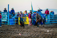 Tie Down Roping