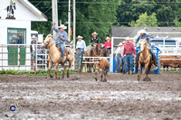 Team Roping Heeler