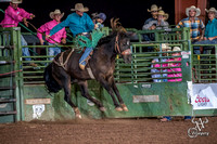 Saddle Bronc