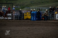 Team Roping