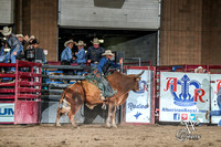 Bull Riding