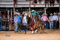 Tie Down Roping