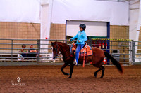 Class 737 ~ Pony Western Horsemanship