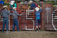 Saddle Bronc