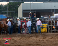 Steer Wrestling