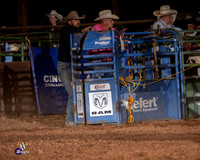 Steer Wrestling