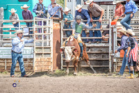 Bull RIding