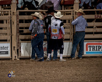 Saddle Bronc