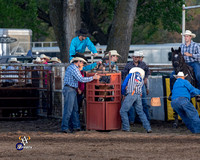 Steer Wrestling