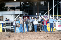 Steer Wrestling