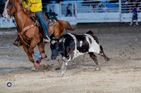 Steer Wrestling