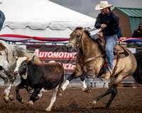 Steer Wrestling