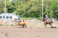 Team Roping Heeler