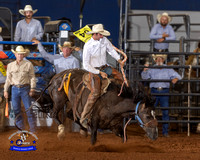 Saddle bronc