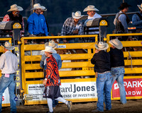 Saddle Bronc