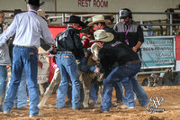 Mutton Busting