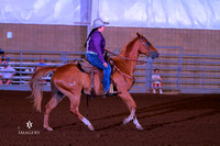 Class 732 ~ Western Horsemanship 14-18 Yrs Old