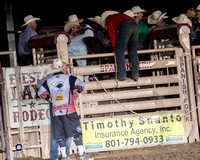 Bull Riding