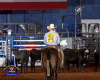 Team Penning