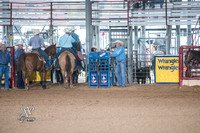 Tie Down Roping