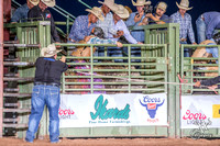 Bull Riding Section1