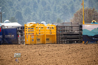 Team Roping