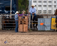 Steer Wrestling